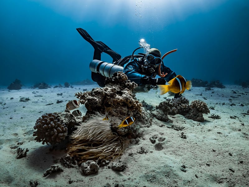 Scuba Diving Trips